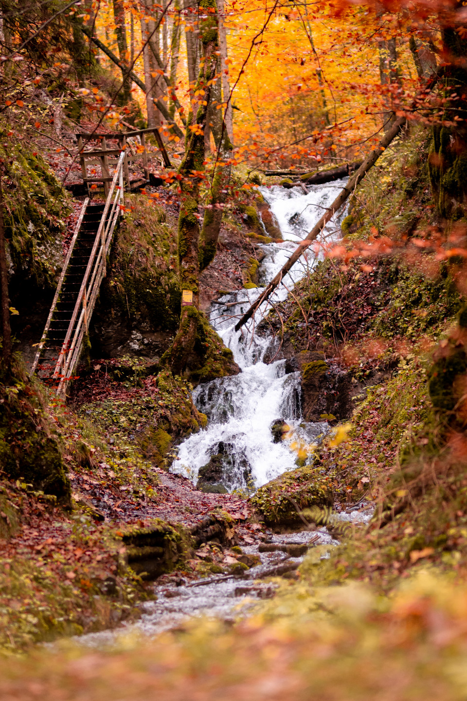 Herbstliches Bild vom großen Wasserfall in Hohenberg.